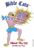 BIBLE CATS - Gifts